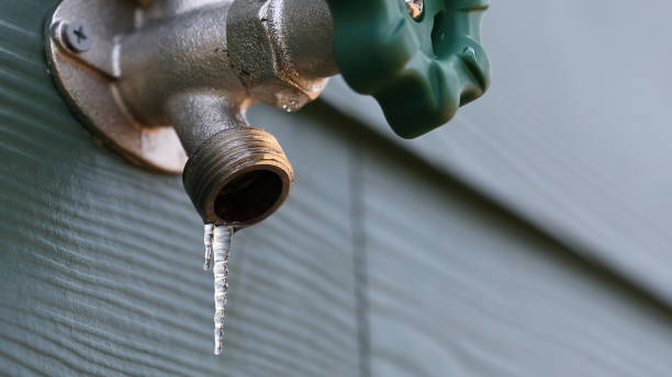 Best Sewer Line Repair  in Westwood, CA